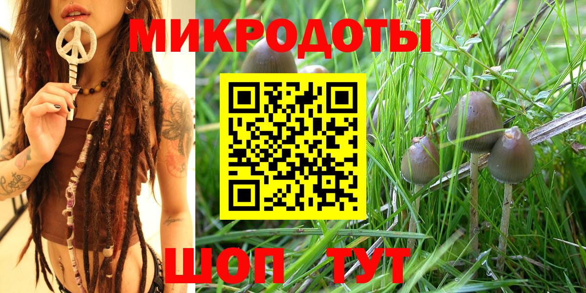 дарнет шоп  Вход с VPN  Галлюциногенные грибы MAGIC MUSHROOMS  Нальчик  Псилоцибиновые грибы ЛСД 